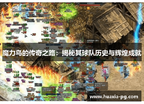 魔力鸟的传奇之路：揭秘其球队历史与辉煌成就