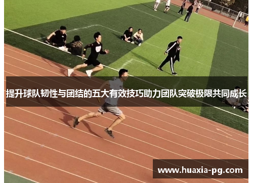 提升球队韧性与团结的五大有效技巧助力团队突破极限共同成长 提升球队韧性与团结的五大有效技巧助力团队突破极限共同成长