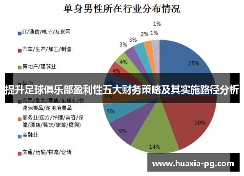 提升足球俱乐部盈利性五大财务策略及其实施路径分析