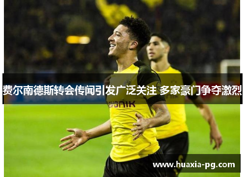 费尔南德斯转会传闻引发广泛关注 多家豪门争夺激烈 费尔南德斯转会传闻引发广泛关注 多家豪门争夺激烈